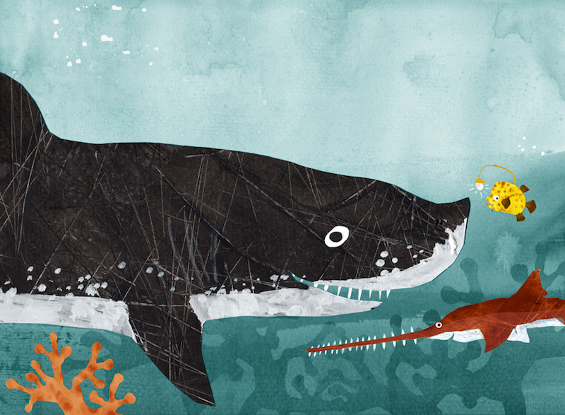 Bild Buchcover Funzel Reisszahn und Säge